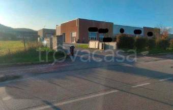 immagine annuncio 3 di 6