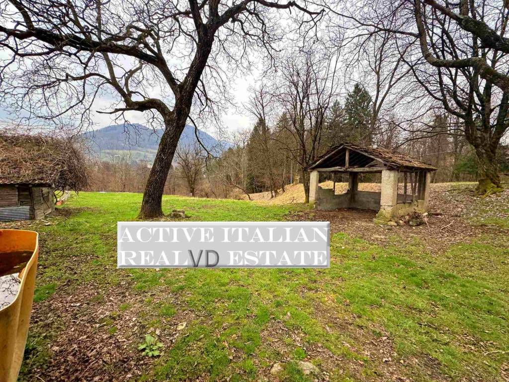 immagine annuncio 3 di 11