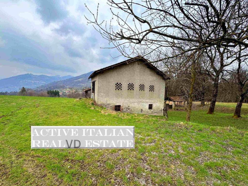 immagine annuncio 4 di 11