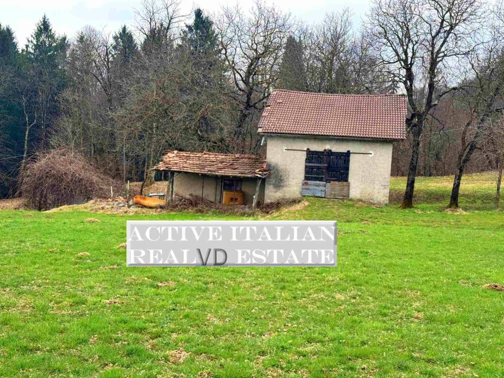 immagine annuncio 8 di 11