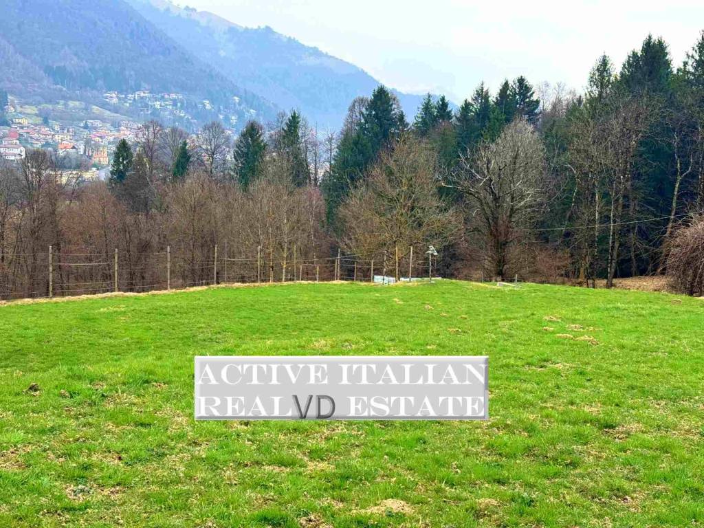 immagine annuncio 9 di 11