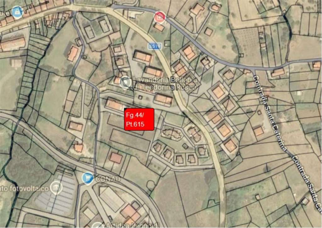 immagine annuncio 1 di 13