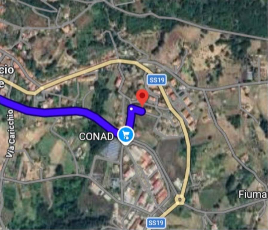 immagine annuncio 5 di 13