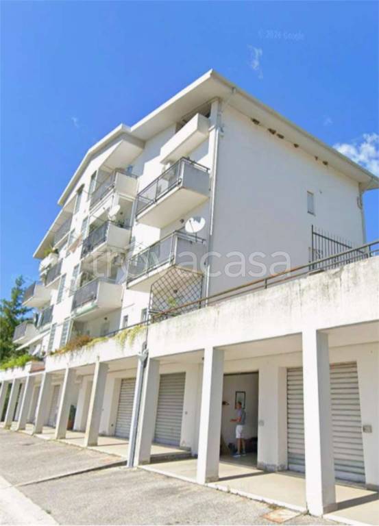 immagine annuncio 12 di 13