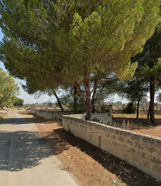 immagine annuncio 10 di 14