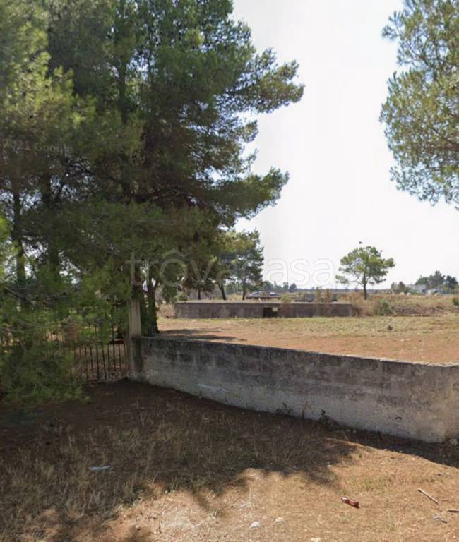 immagine annuncio 11 di 14