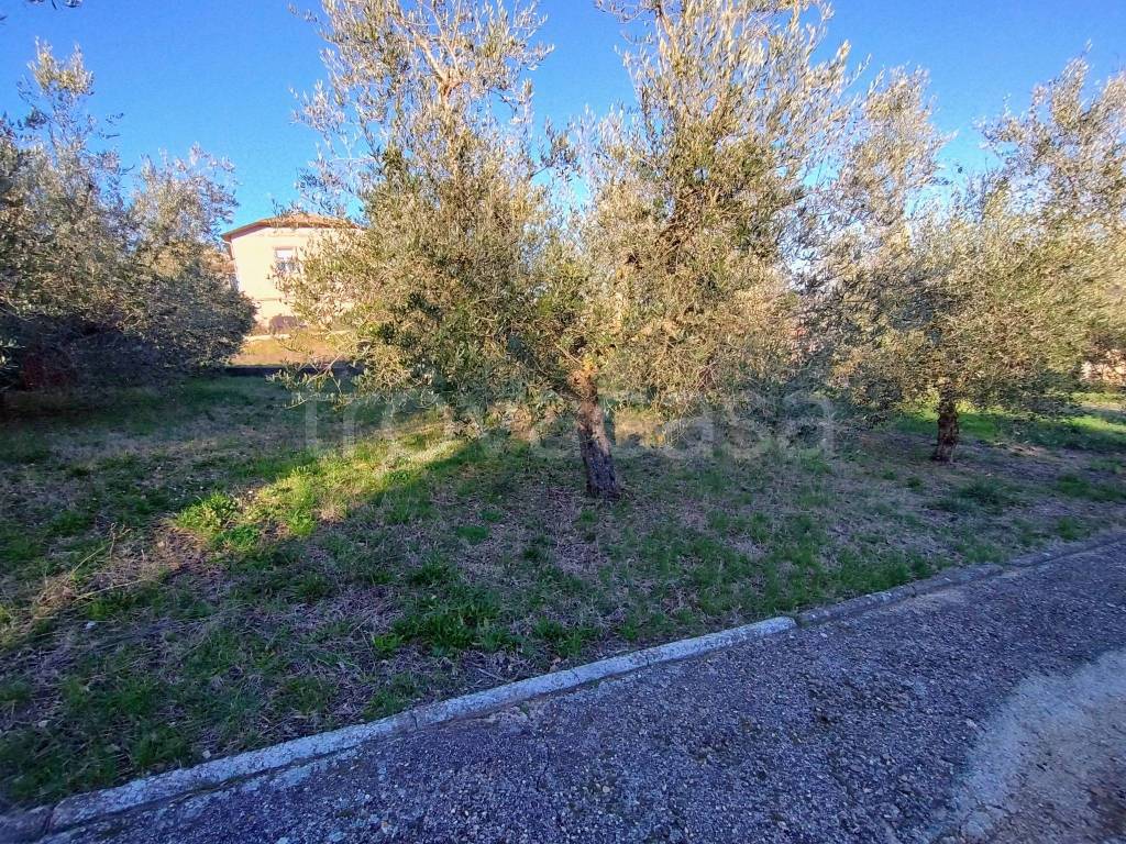 immagine annuncio 11 di 15