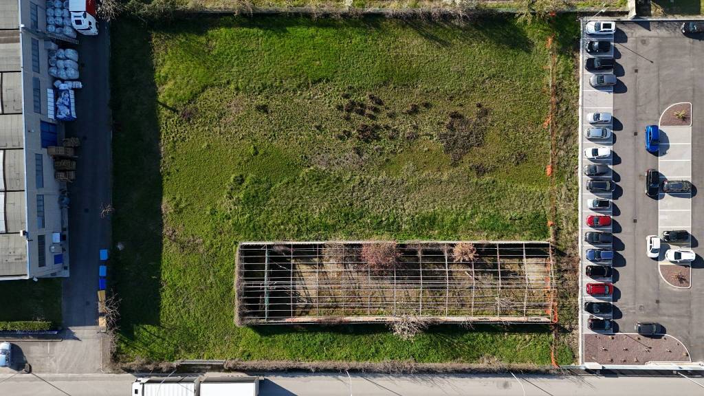 immagine annuncio 2 di 7