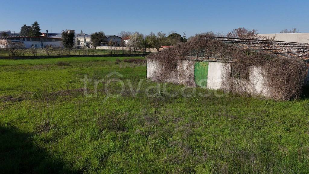 immagine annuncio 3 di 7