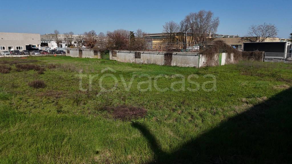 immagine annuncio 4 di 7