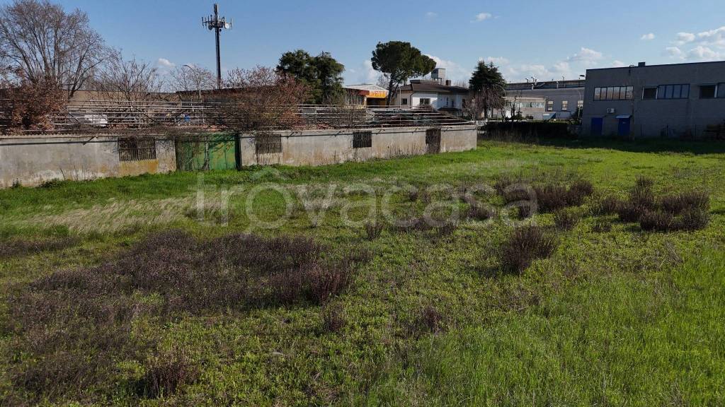 immagine annuncio 5 di 7