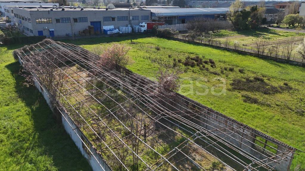 immagine annuncio 6 di 7