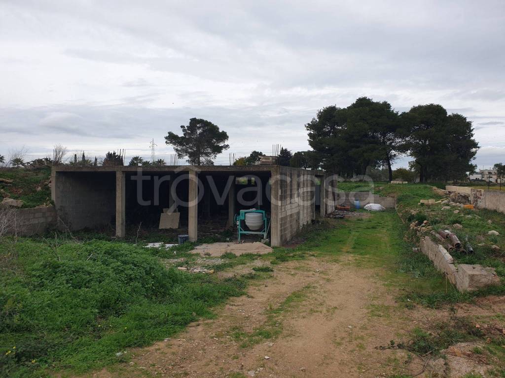 immagine annuncio 6 di 14