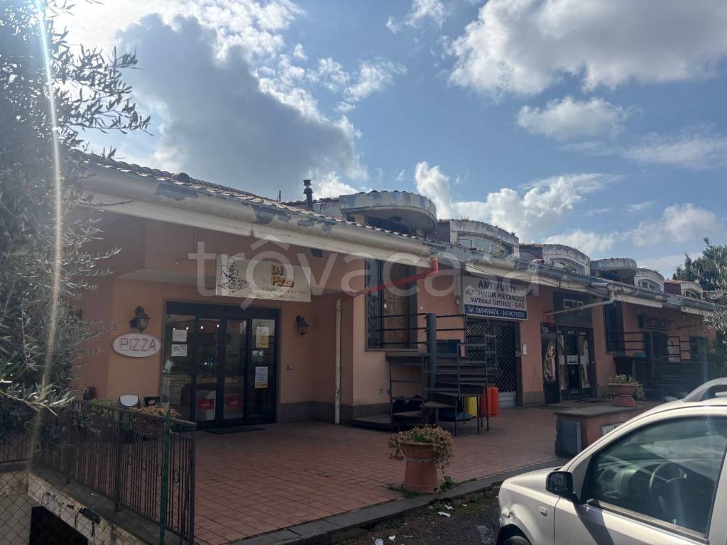 immagine annuncio 13 di 14