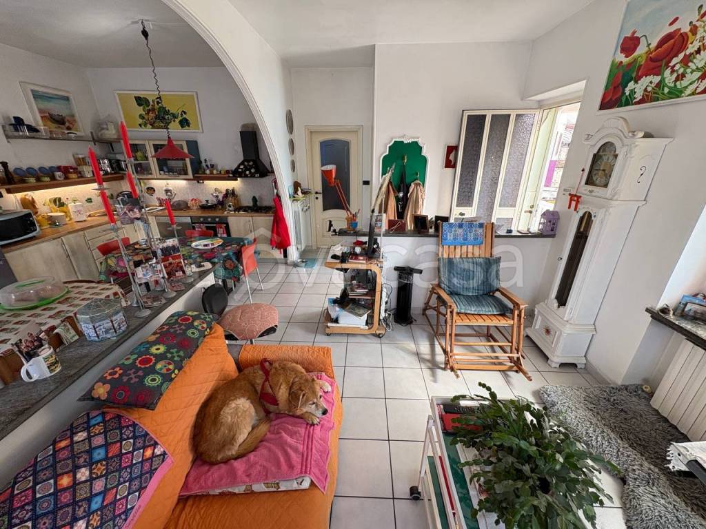 immagine annuncio 7 di 15