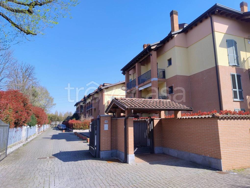 immagine annuncio 3 di 15