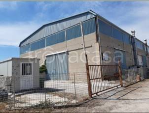 immagine annuncio 2 di 6