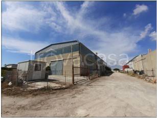 immagine annuncio 3 di 6