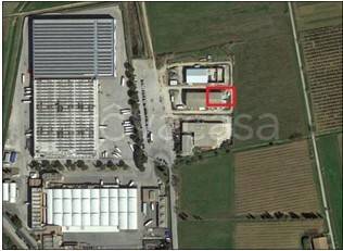 immagine annuncio 5 di 6