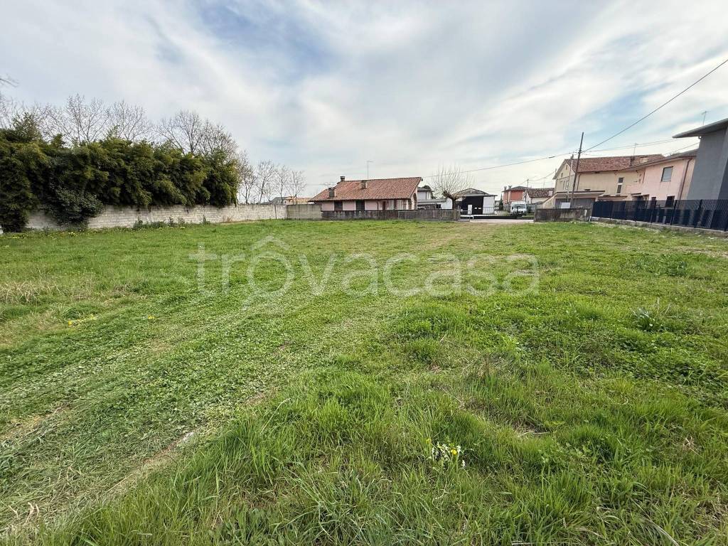 immagine annuncio 2 di 4