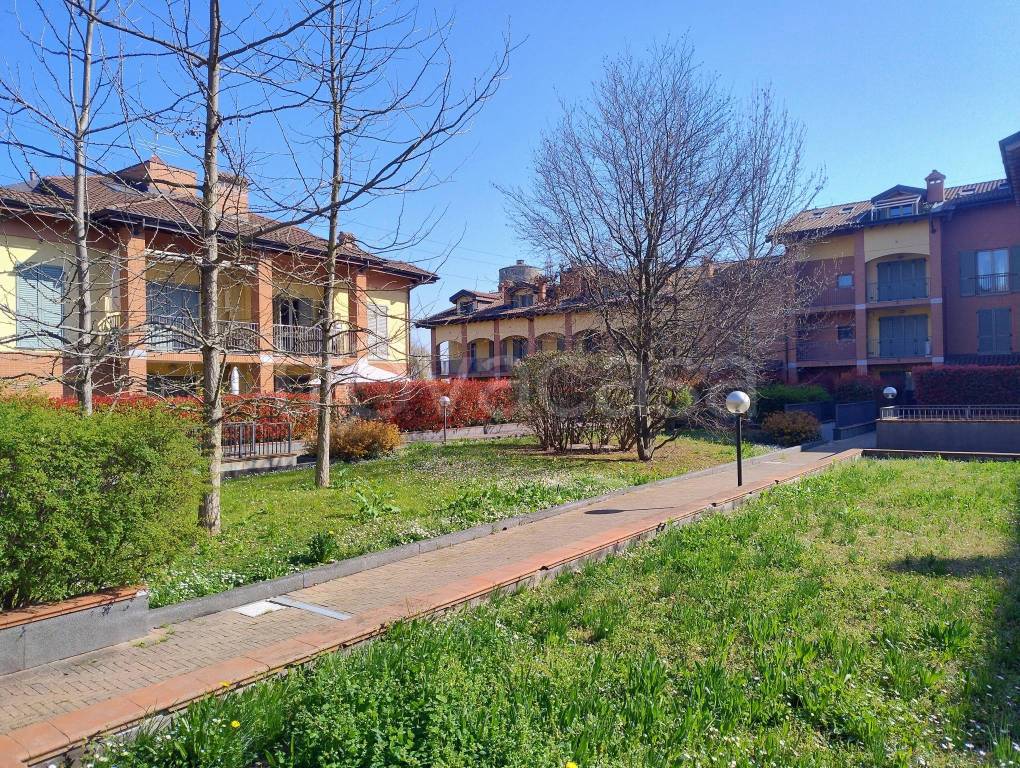 immagine annuncio 4 di 15