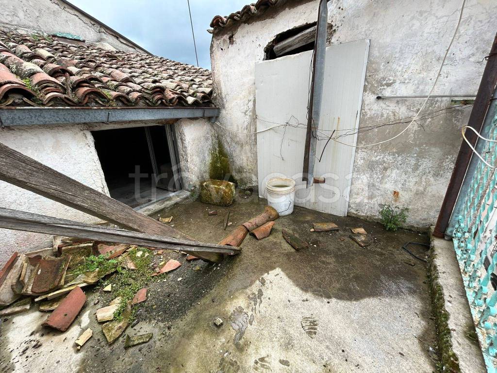 immagine annuncio 5 di 6