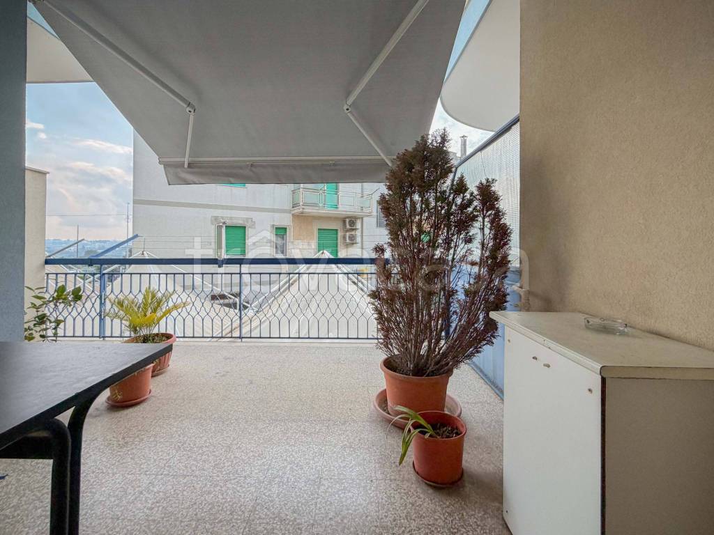 immagine annuncio 6 di 12