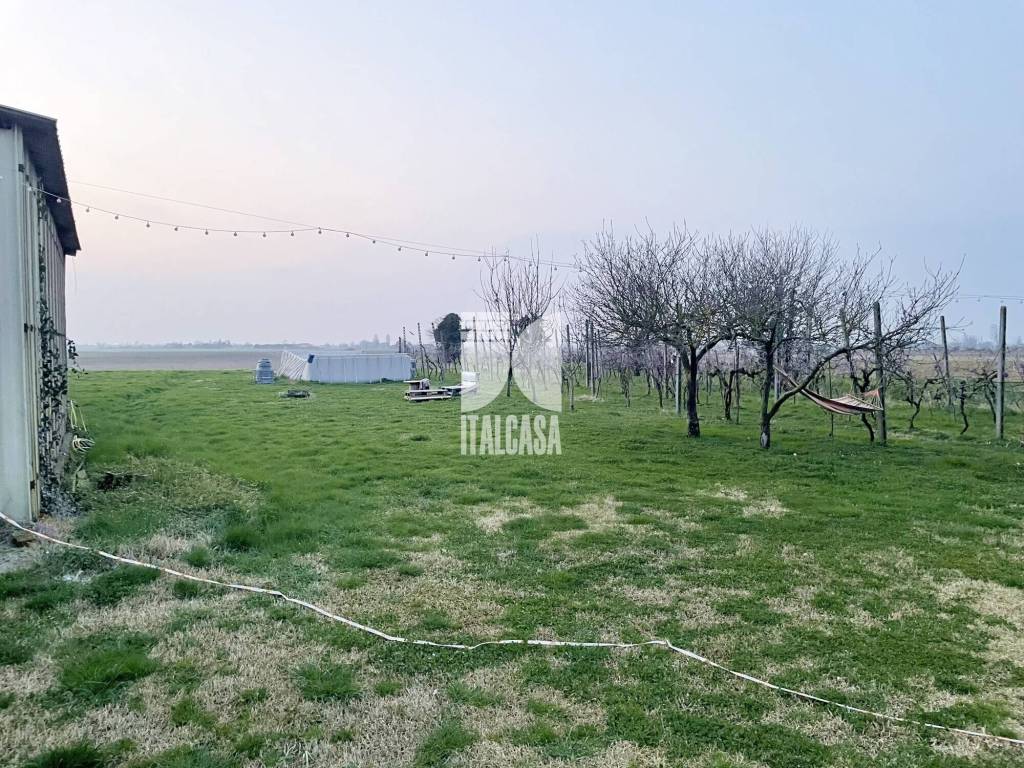 immagine annuncio 2 di 14