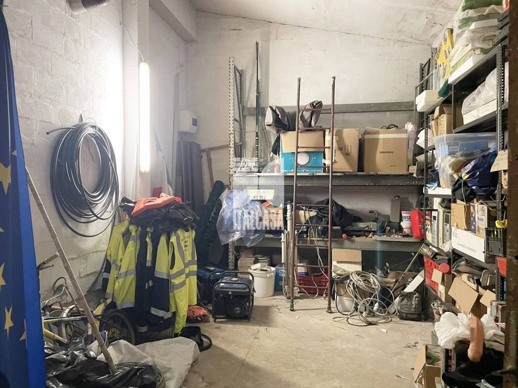 immagine annuncio 6 di 14