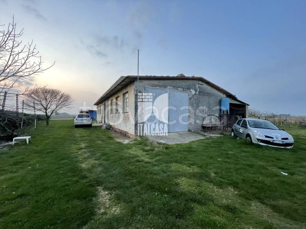 immagine annuncio 12 di 14