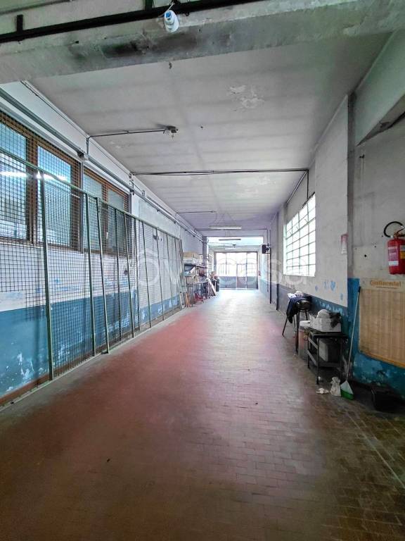 immagine annuncio 3 di 11