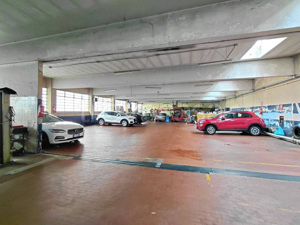 immagine annuncio 7 di 11