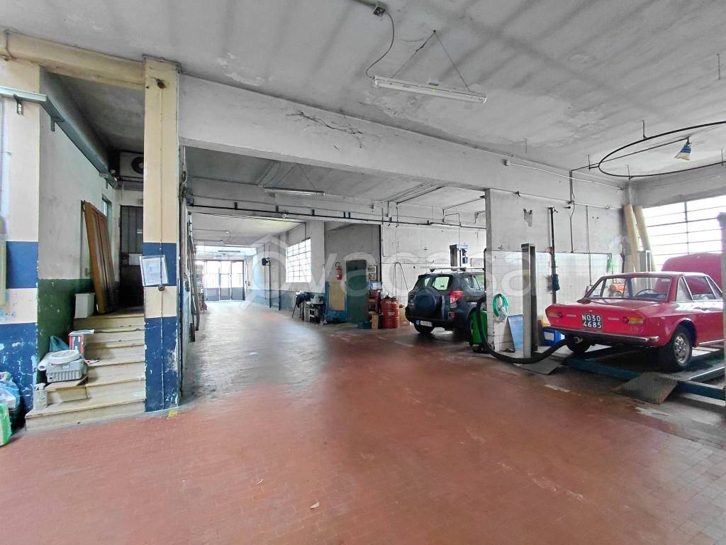 immagine annuncio 5 di 11