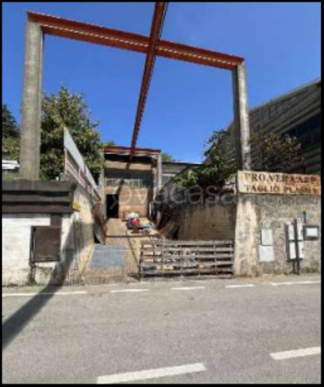 immagine annuncio 1 di 12