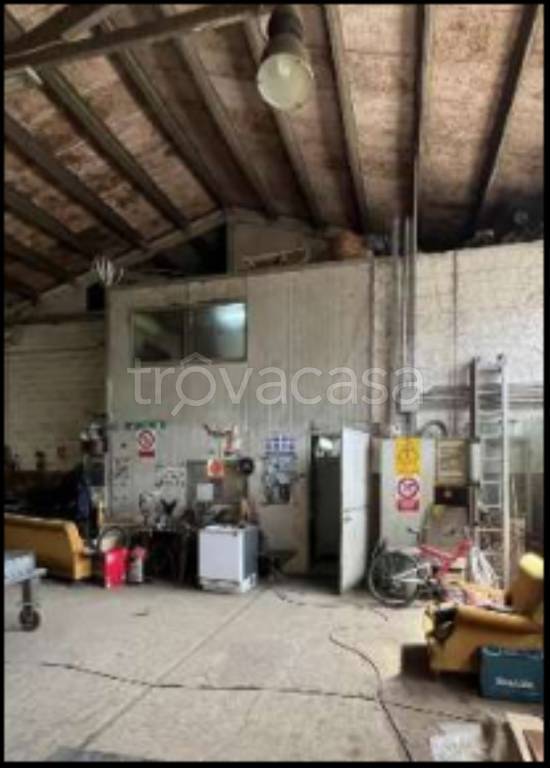 immagine annuncio 5 di 12