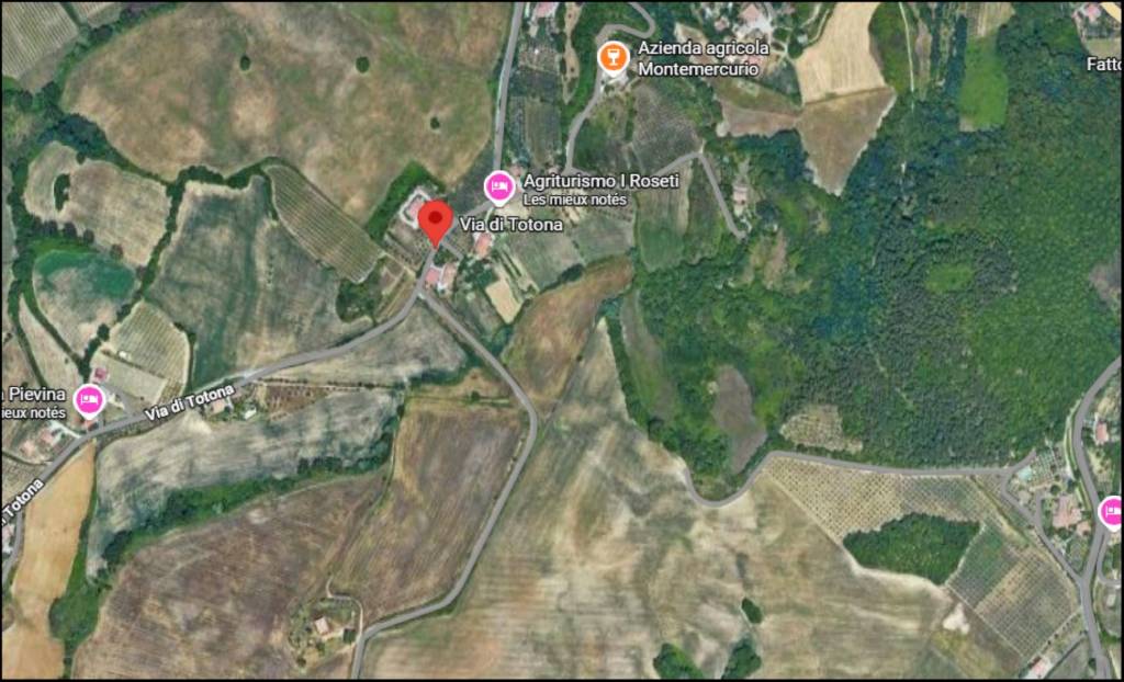 immagine annuncio 11 di 12