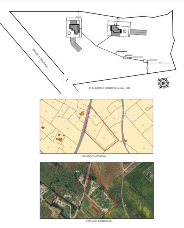 immagine annuncio 9 di 14