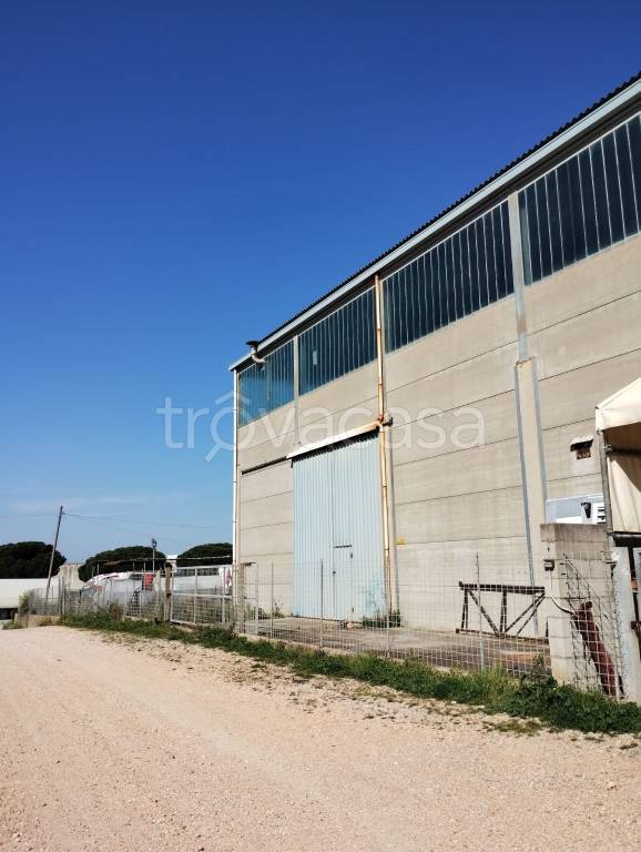 immagine annuncio 1 di 6