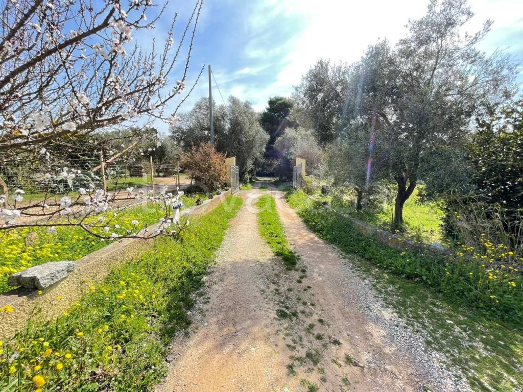 immagine annuncio 1 di 14