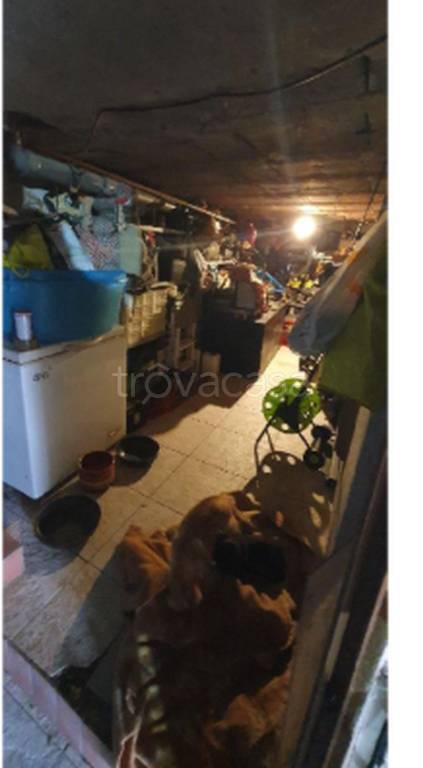 immagine annuncio 4 di 9