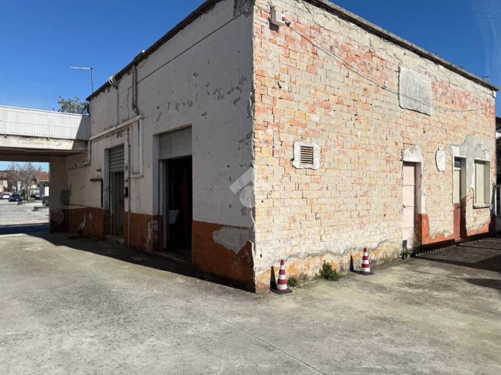 immagine annuncio 3 di 12