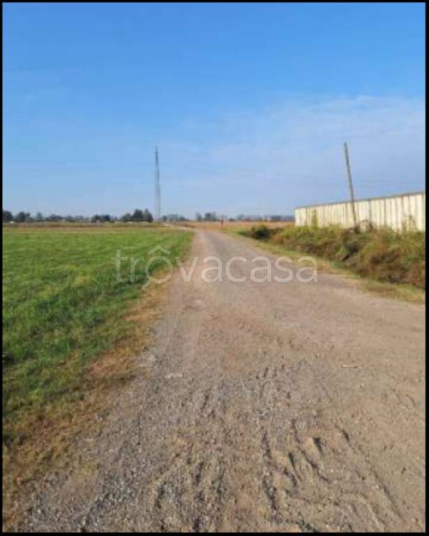 immagine annuncio 3 di 12