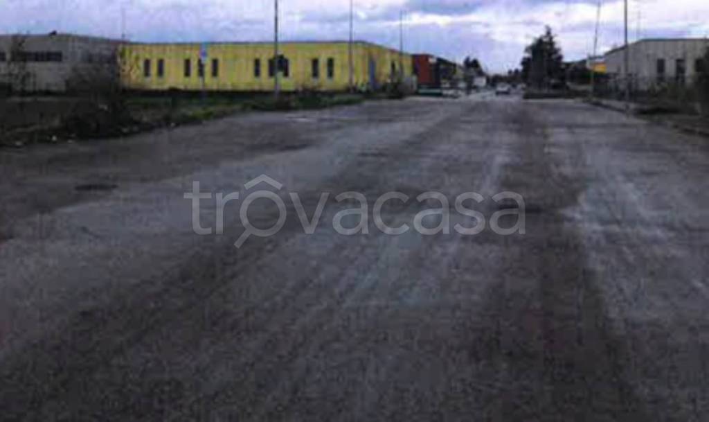 immagine annuncio 3 di 11