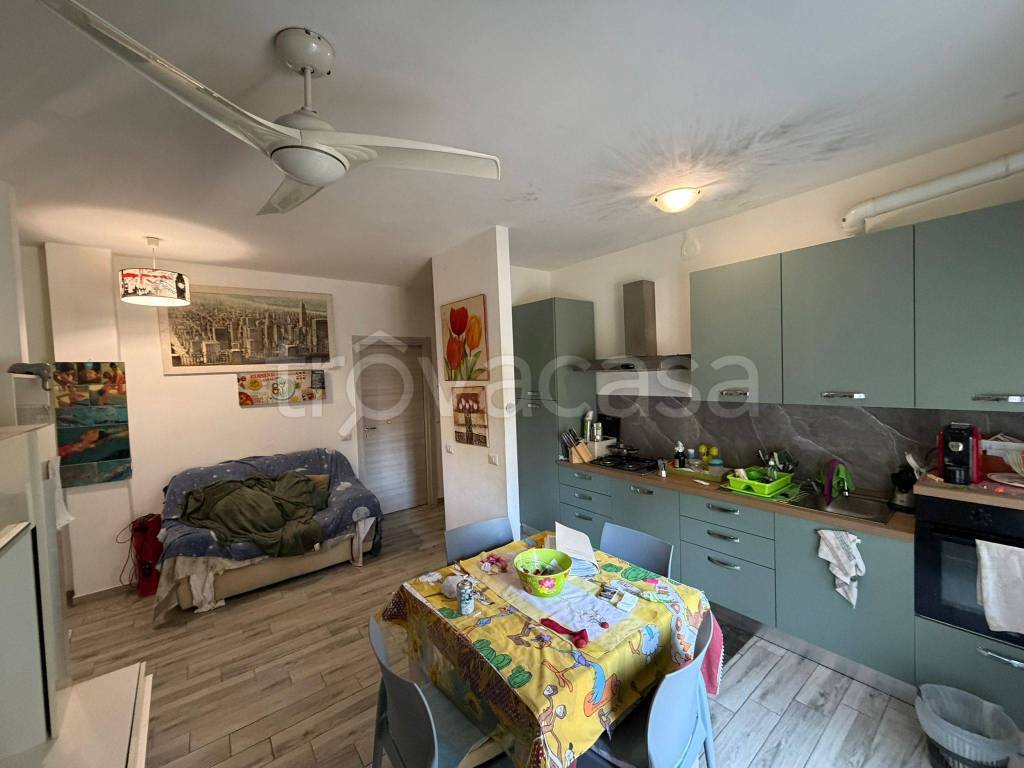 immagine annuncio 9 di 15