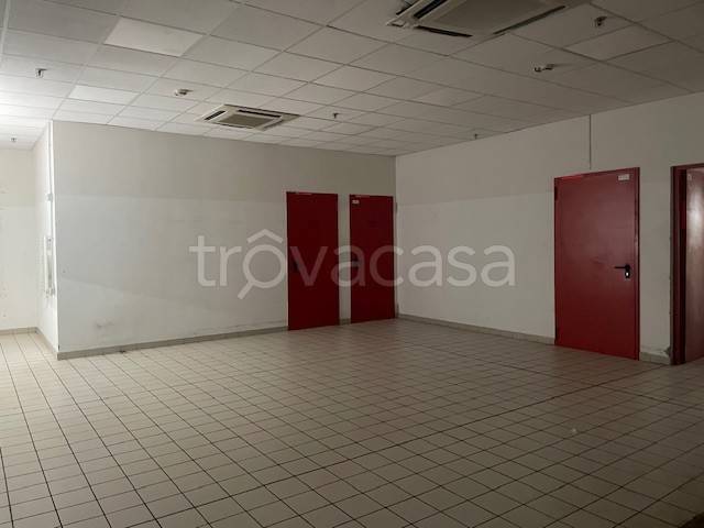 immagine annuncio 7 di 14