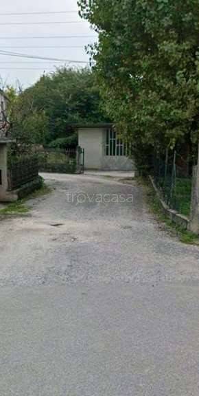 immagine annuncio 5 di 12