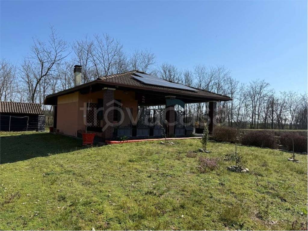 immagine annuncio 1 di 15