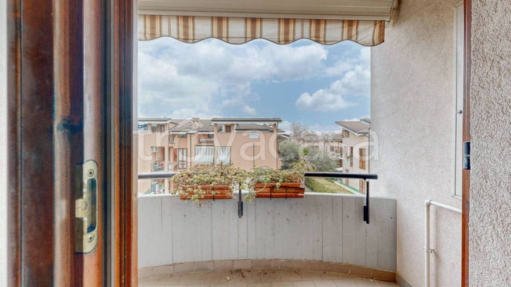 immagine annuncio 9 di 15