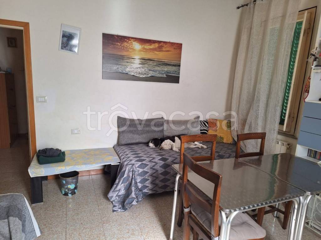 immagine annuncio 3 di 7