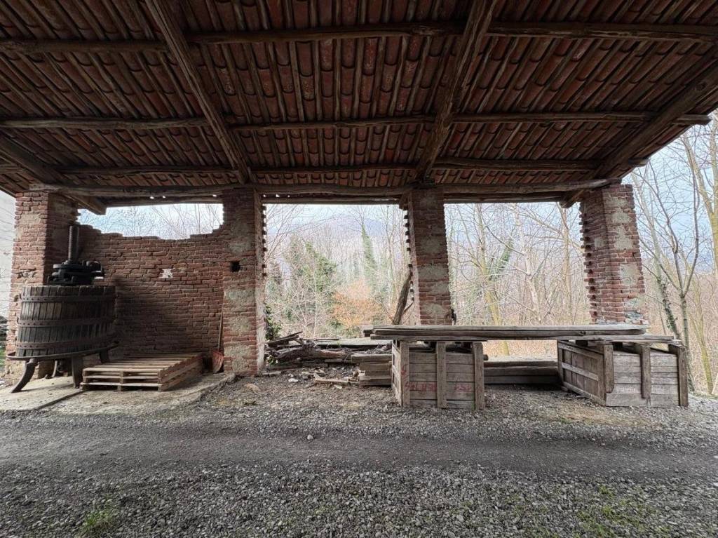 immagine annuncio 5 di 11